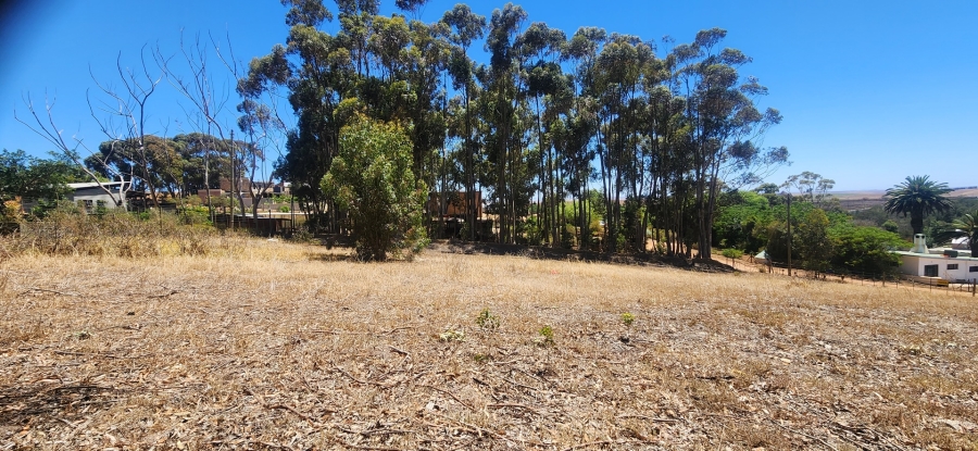 0 Bedroom Property for Sale in Napier Western Cape